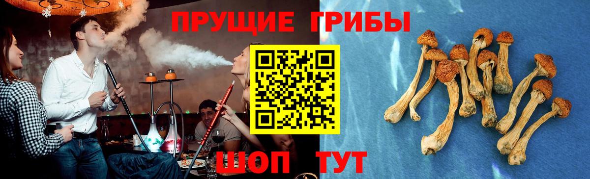 Галлюциногенные грибы ЛСД  Вход с VPN  Качканар 