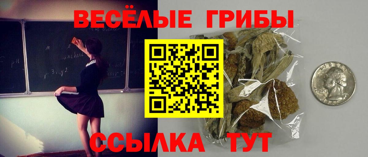 Псилоцибиновые грибы мицелий Качканар